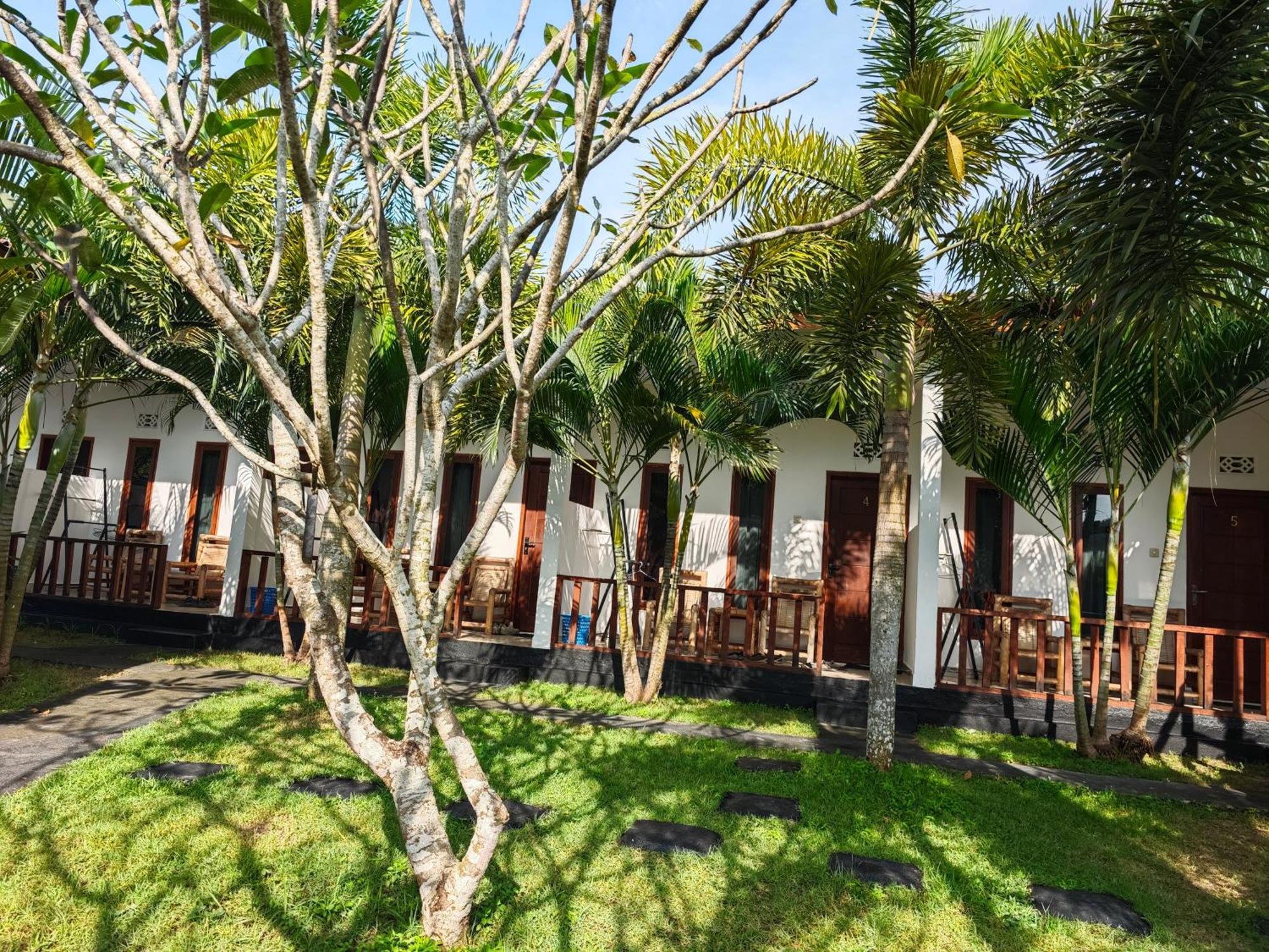 Surf Camp 79 Otel Kuta  Dış mekan fotoğraf